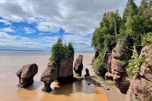 Bizarr geformte Felsen ragen ragen aus dem Wasser am Strand von Hopewell Rocks