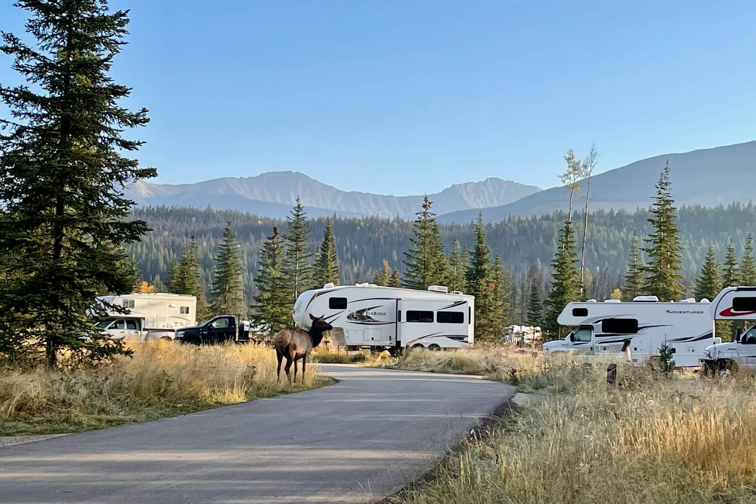 Camping in den Rocky Mountains: 4 Top-Tipps
