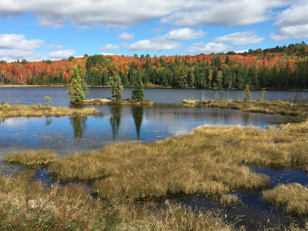See und im Hintergrund herbstlich gefärbter Wald
