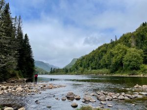 Fluss mit bewaldetem Ufer. Ein einsamer Angler steht im Wasser