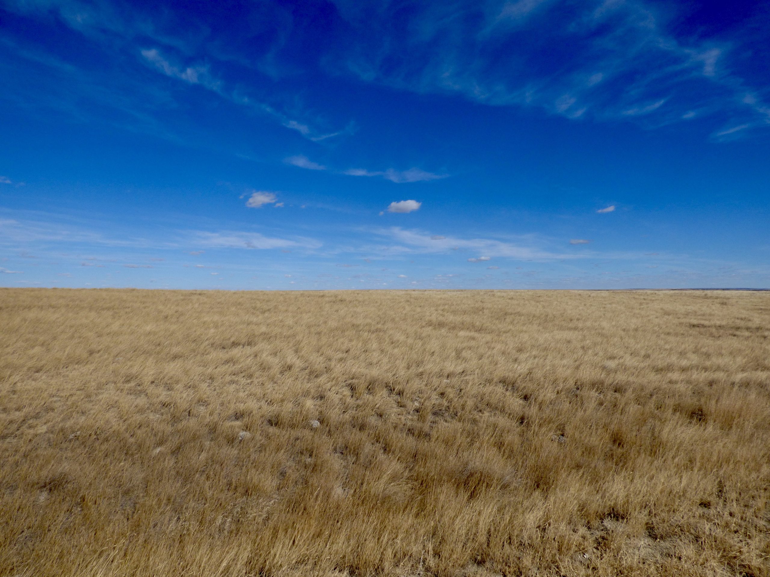 Saskatchewan: Die unterschätzte Provinz