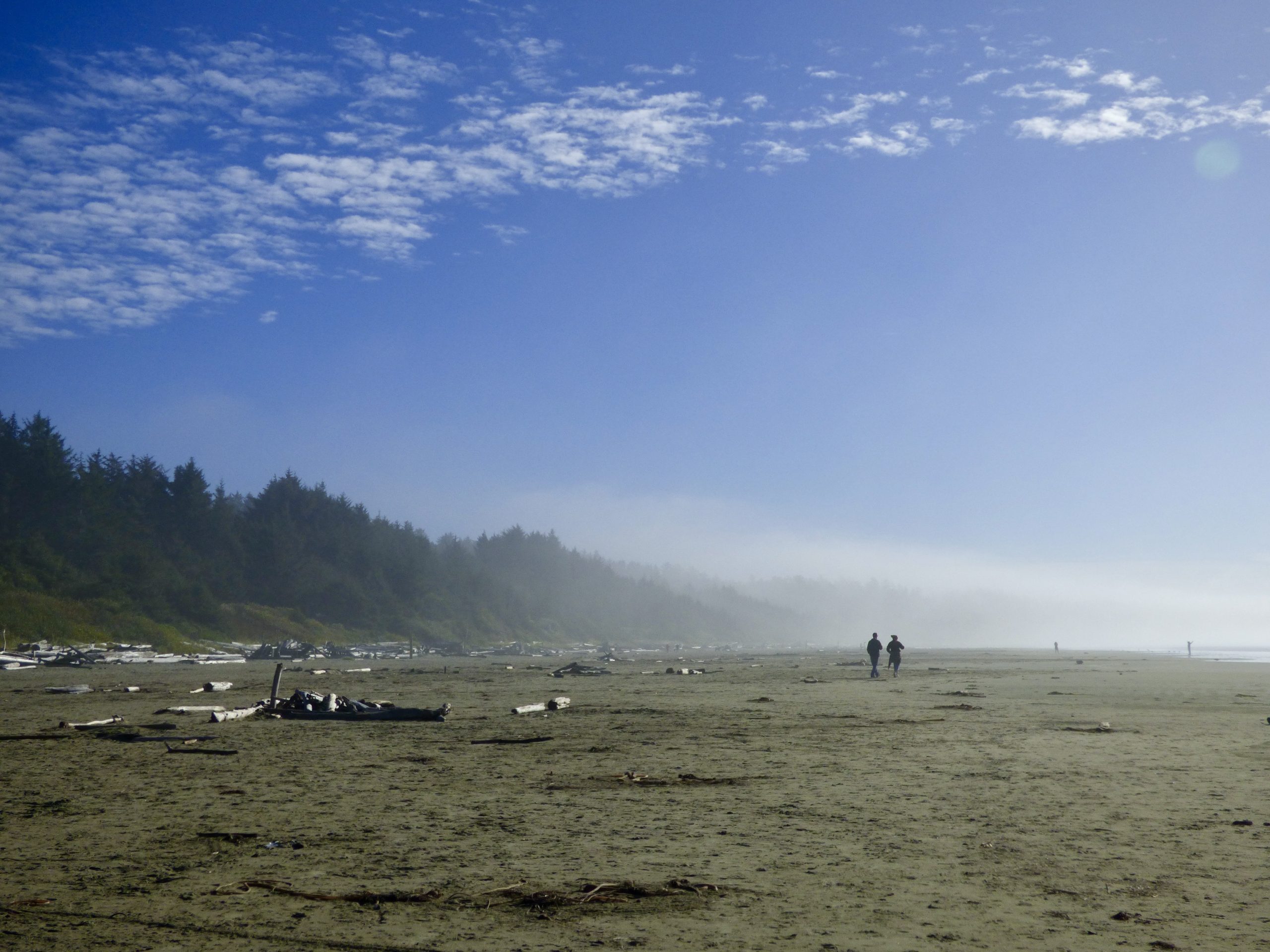10 Vancouver Island Sehenswürdigkeiten, die du nicht verpassen solltest