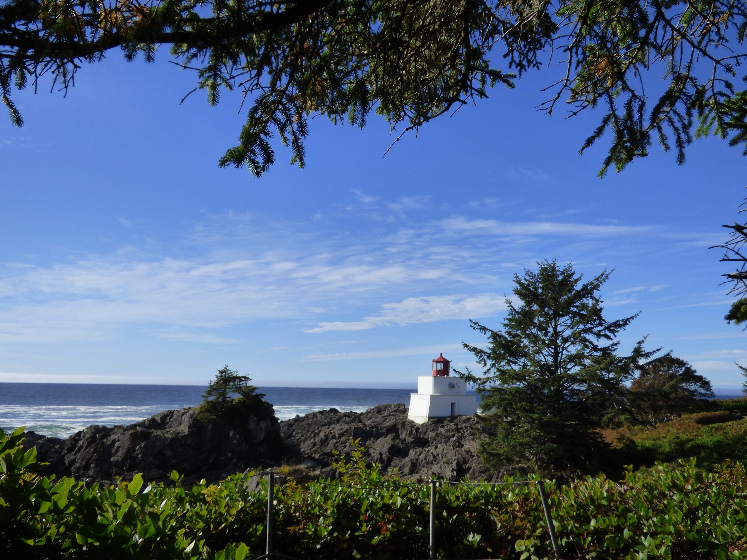 Beste Zeit für einen Besuch auf Vancouver Island
