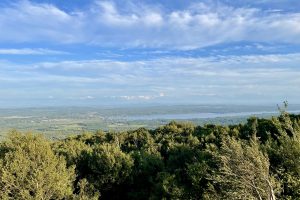 Weite Aussicht über grüne Wälder und Seen unter leicht bewölktem Himmel