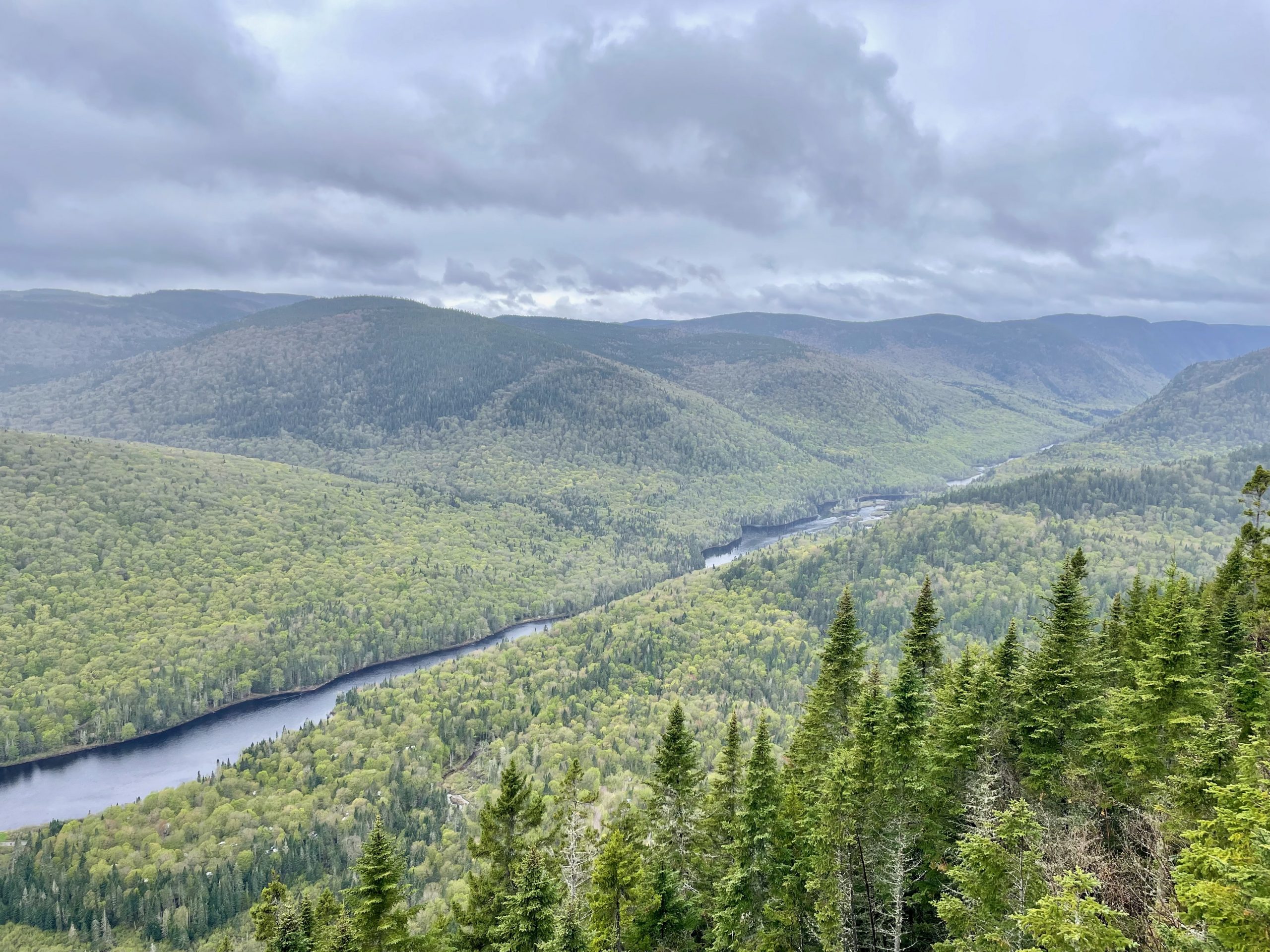 Ausblick auf bewaldetes Tal unter wolkenbedecktem Himmel
