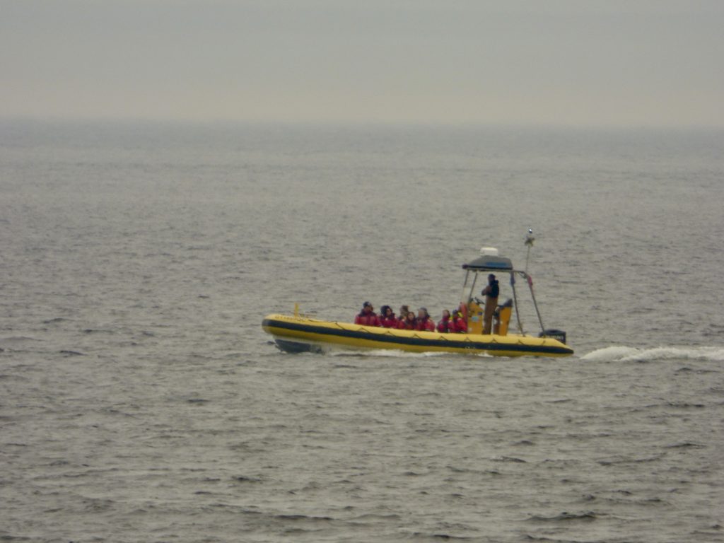 Zodiac auf Walbeobachtungstour auf Meer